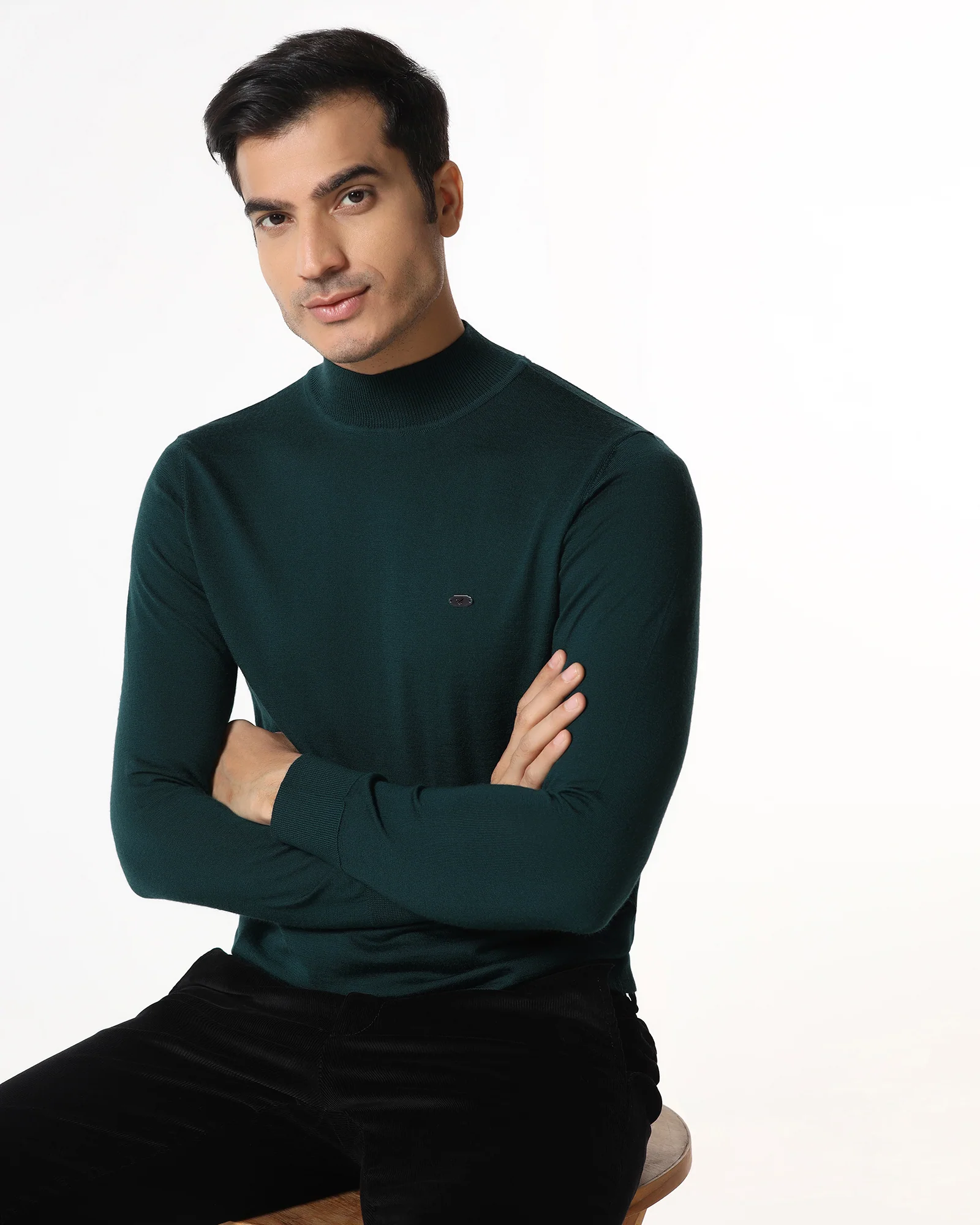 Beetle High Neck Solid Sweater - Jester - Image 5