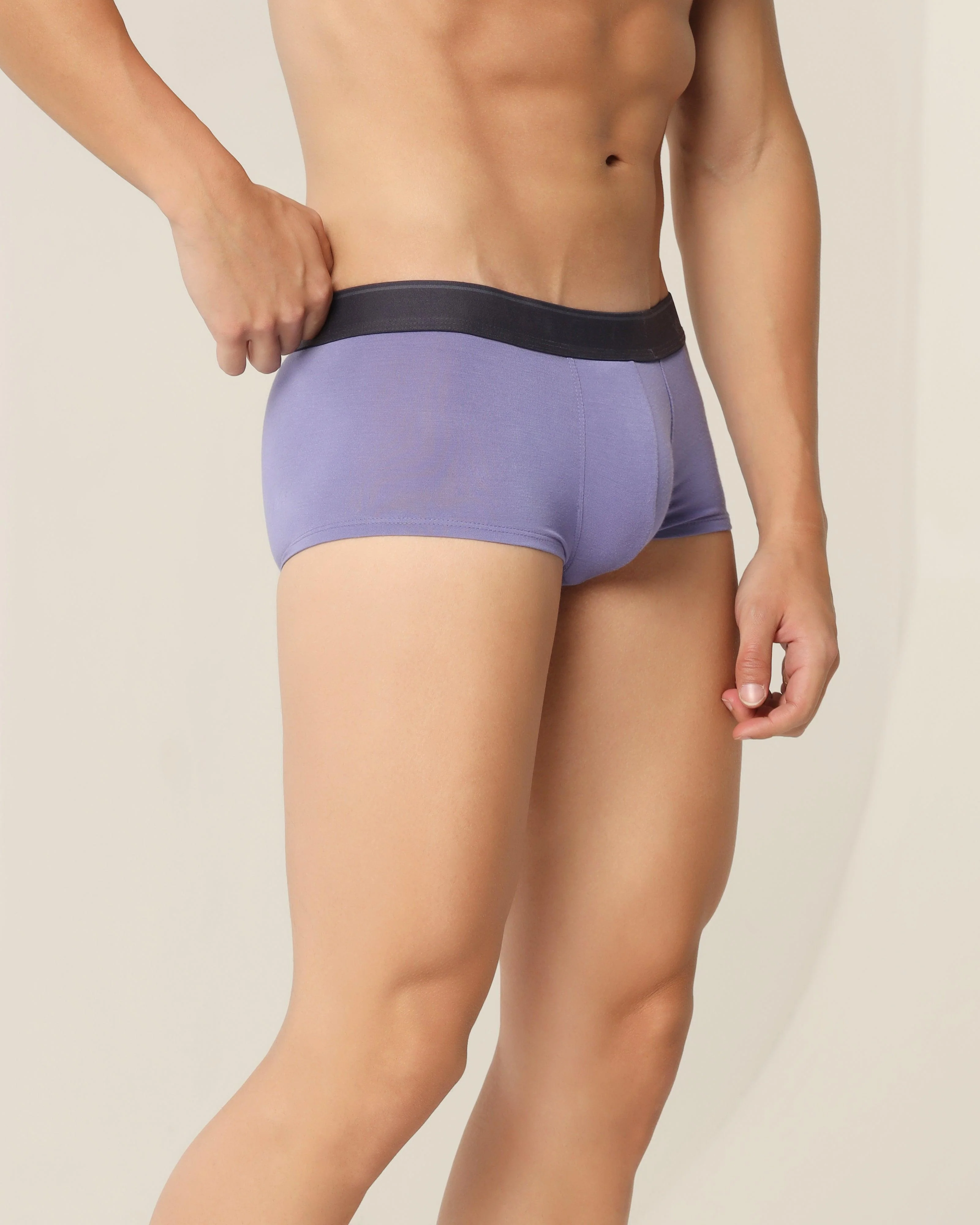 Dark Purple Solid Trunk - Roman - Image 3