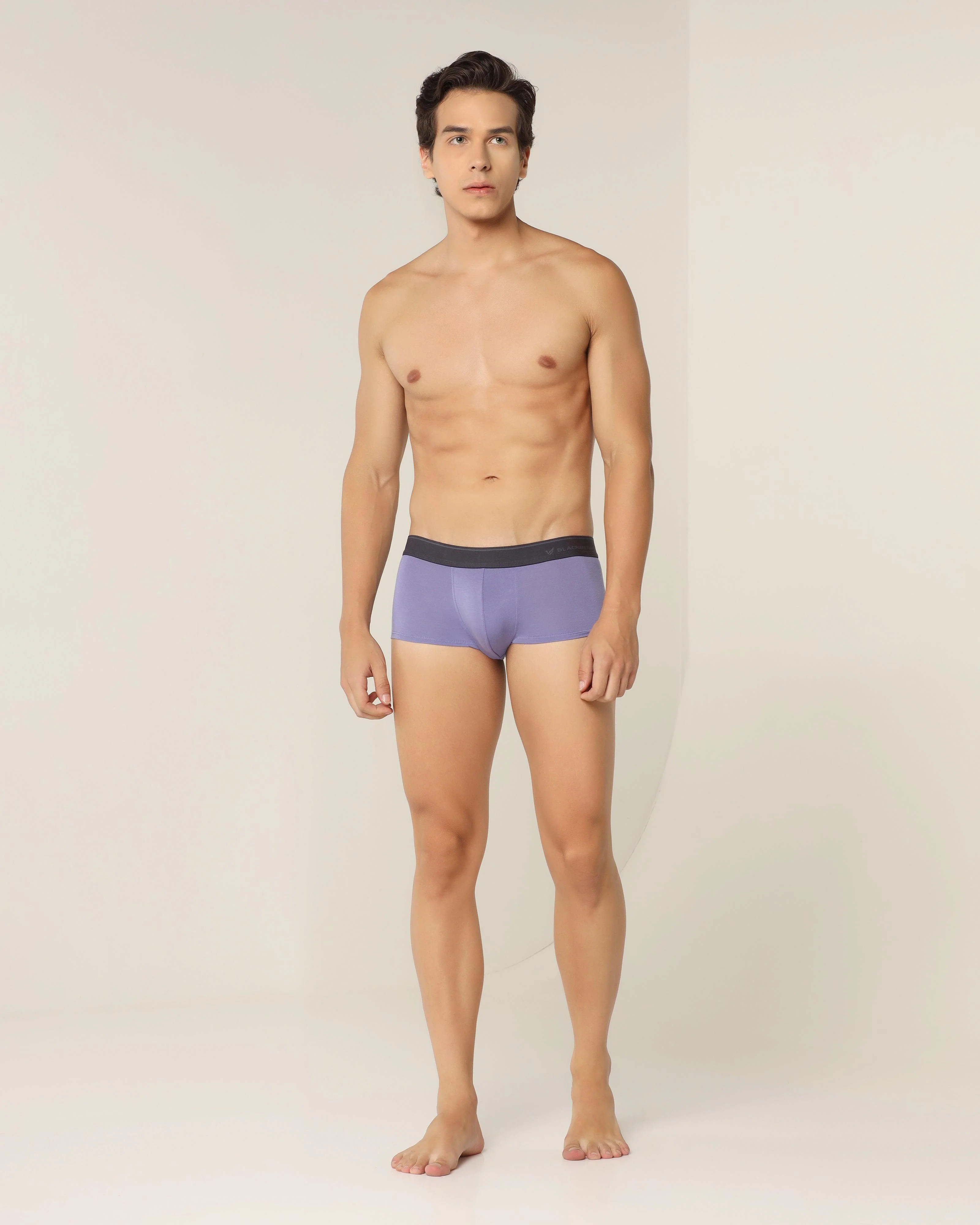 Dark Purple Solid Trunk - Roman - Image 8
