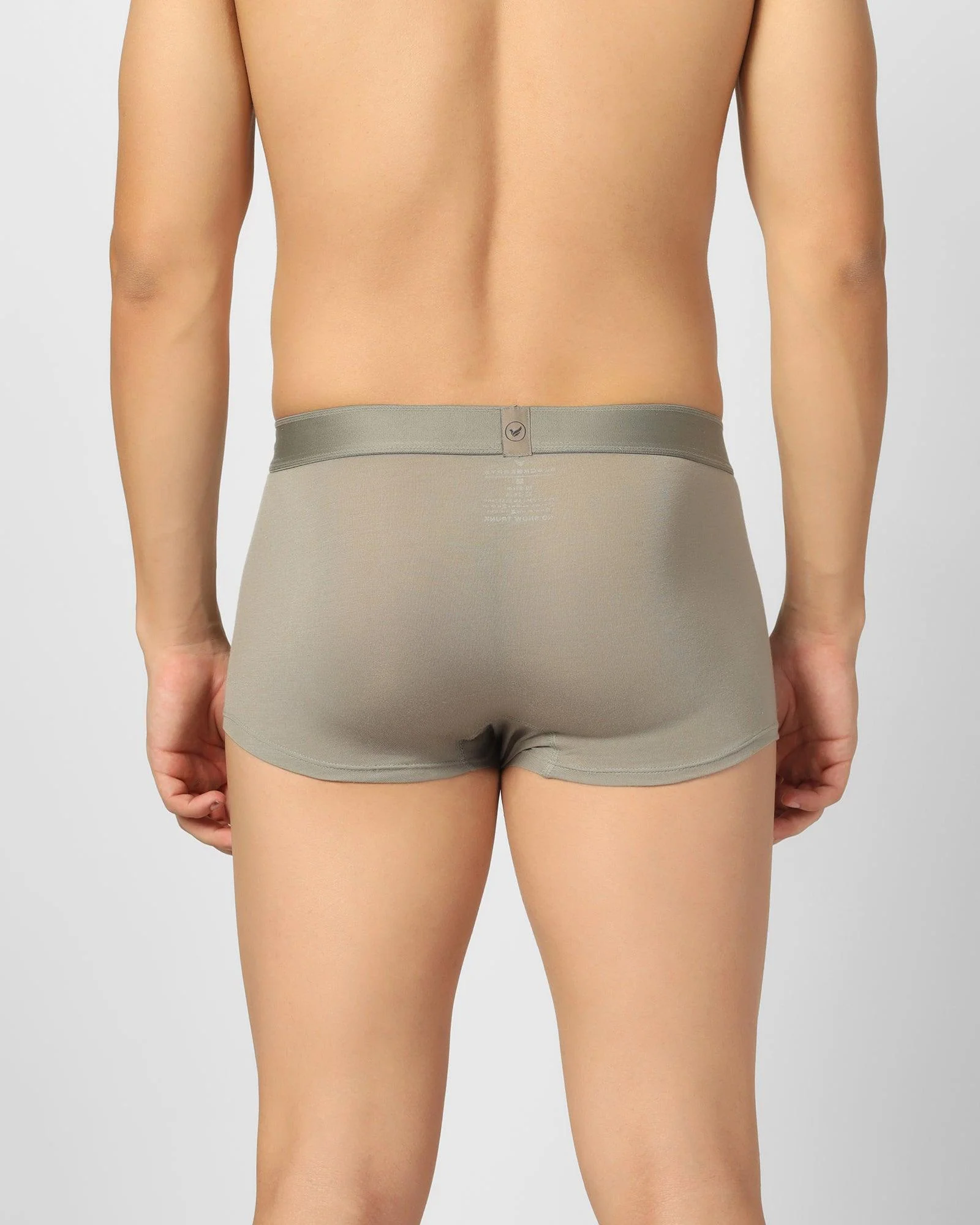 Fresh Grey Solid Trunk - Roman - Image 5