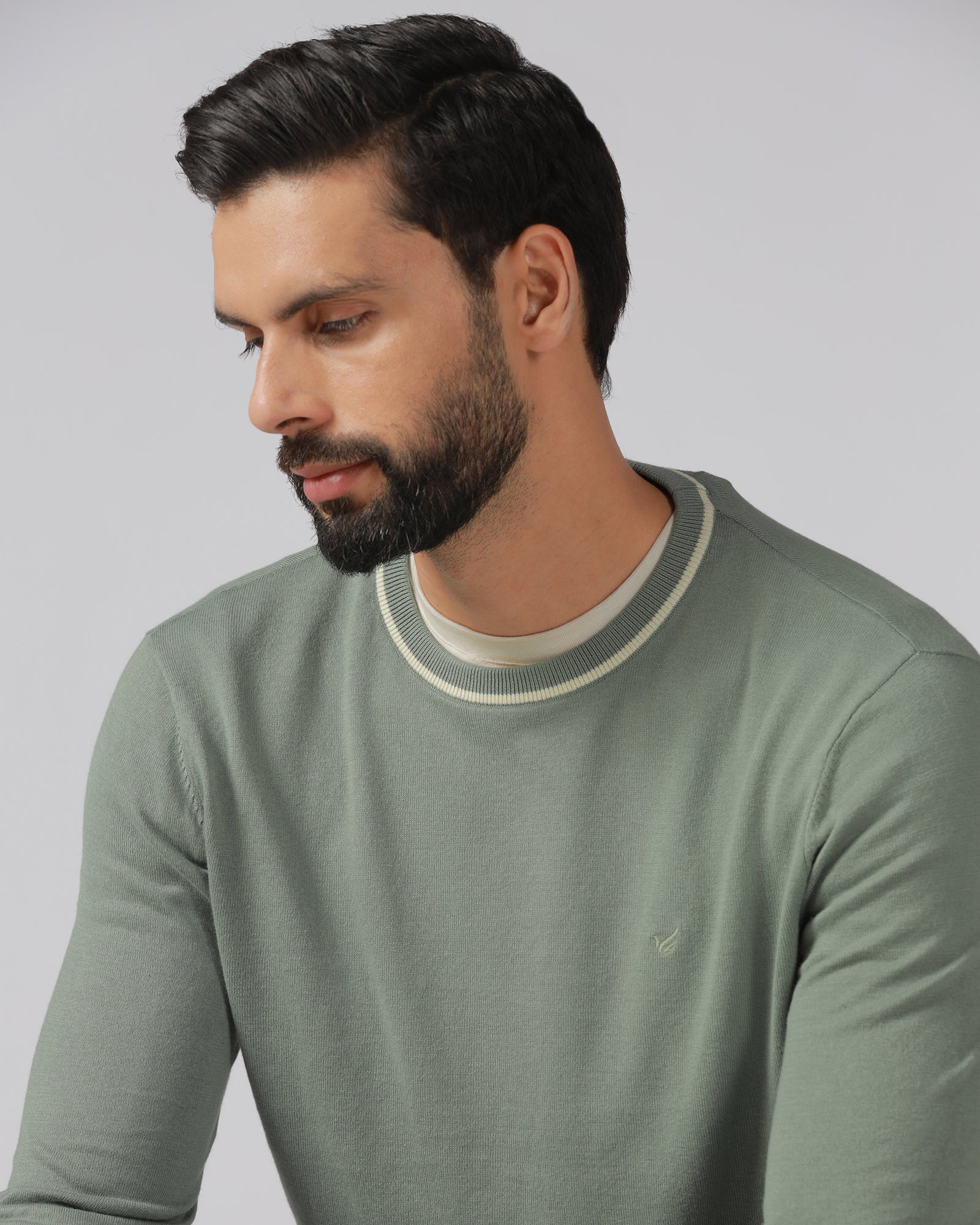 Sage Green Crew Neck Solid T-Shirt - Timber - Image 5